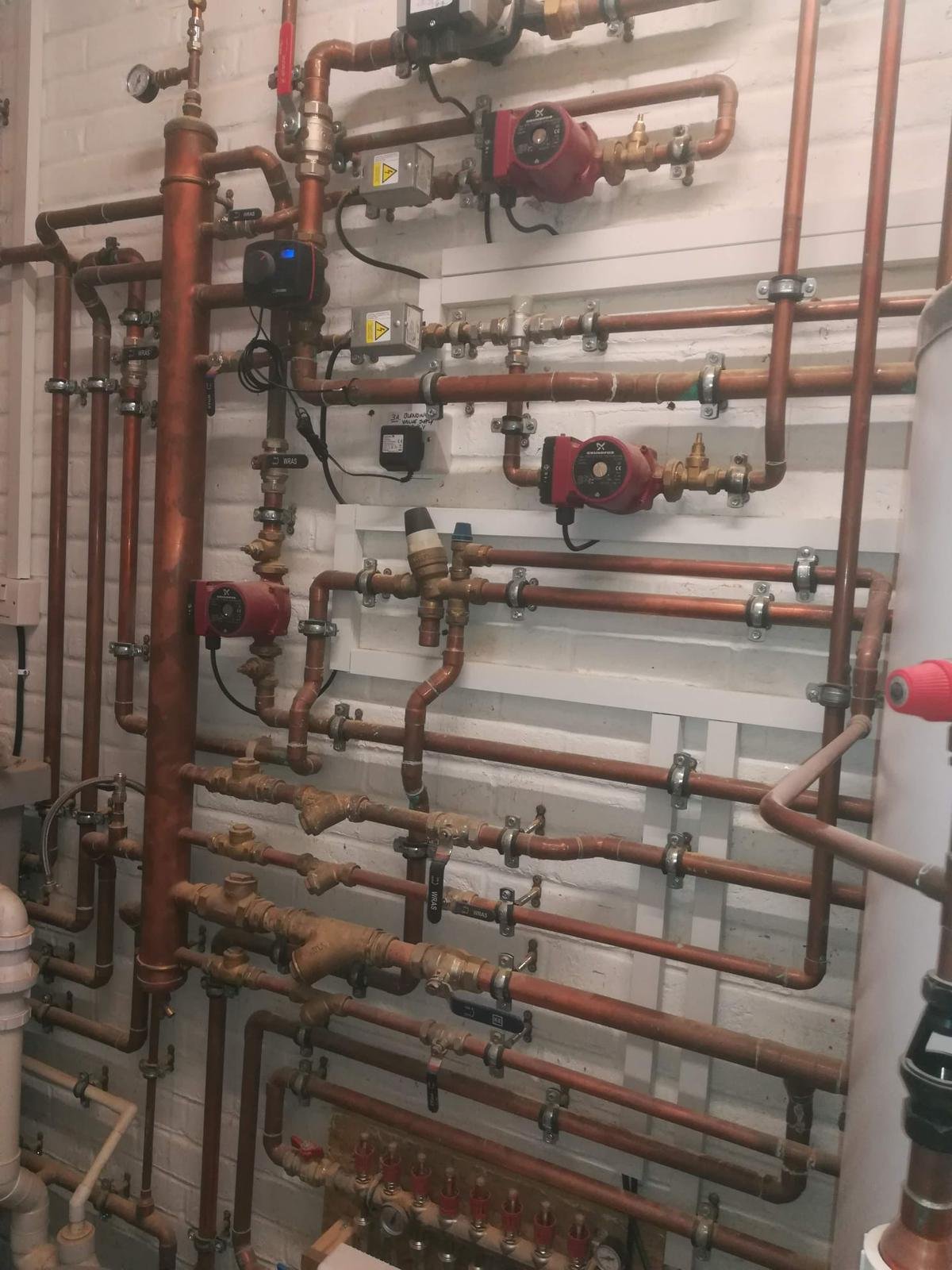 WhatsApp Image 2026-02-12 at 12.50.30